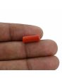 Red Coral (Moonga) - 4.36 Carat 
