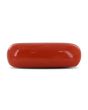 Red Coral (Moonga) - 3.68 Carat 