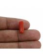 Red Coral (Moonga) - 4.3 Carat 