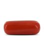 Red Coral (Moonga) - 3.91 Carat 
