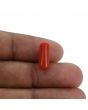 Red Coral (Moonga) - 3.91 Carat 