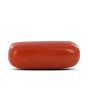Red Coral (Moonga) - 3.68 Carat 