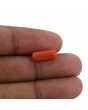 Red Coral (Moonga) - 3.68 Carat 