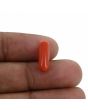 Red Coral (Moonga) - 4.23 Carat 