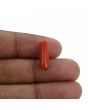 Red Coral (Moonga) - 4.14 Carat 