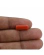 Red Coral (Moonga) - 4.41 Carat 