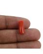 Red Coral (Moonga) - 4.41 Carat 