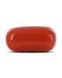 Red Coral (Moonga) - 4.28 Carat 