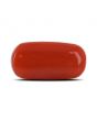 Red Coral (Moonga) - 4.28 Carat 