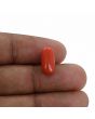 Red Coral (Moonga) - 4.28 Carat 