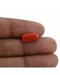 Red Coral (Moonga) - 4.28 Carat 