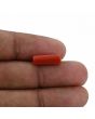 Red Coral (Moonga) - 4.18 Carat 