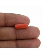 Red Coral (Moonga) - 4.05 Carat 