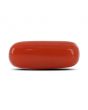 Red Coral (Moonga) - 4.48 Carat 