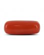 Red Coral (Moonga) - 4.48 Carat 