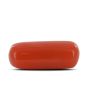 Red Coral (Moonga) - 3.51 Carat 