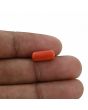 Red Coral (Moonga) - 3.51 Carat 
