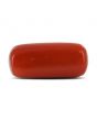Red Coral (Moonga) - 4.31 Carat 