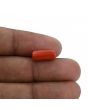 Red Coral (Moonga) - 4.31 Carat 