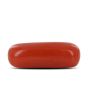 Red Coral (Moonga) - 4.02 Carat 