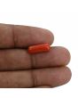 Red Coral (Moonga) - 4.02 Carat 