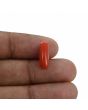 Red Coral (Moonga) - 4.02 Carat 