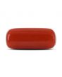 Red Coral (Moonga) - 4.36 Carat 