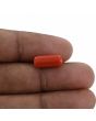 Red Coral (Moonga) - 4.36 Carat 