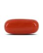 Red Coral (Moonga) - 3.88 Carat 