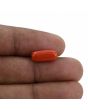 Red Coral (Moonga) - 3.88 Carat 