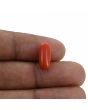 Red Coral (Moonga) - 3.88 Carat 