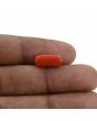 Red Coral (Moonga) - 3.88 Carat 