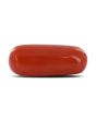 Red Coral (Moonga) - 4.42 Carat 