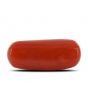 Red Coral (Moonga) - 4.42 Carat 