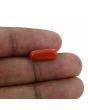 Red Coral (Moonga) - 4.42 Carat 