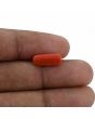 Red Coral (Moonga) - 4.42 Carat 