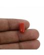 Red Coral (Moonga) - 4.35 Carat 