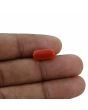 Red Coral (Moonga) - 4.35 Carat 