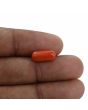 Red Coral (Moonga) - 3.71 Carat 