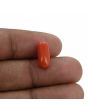 Red Coral (Moonga) - 3.71 Carat 