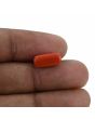 Red Coral (Moonga) - 3.71 Carat 