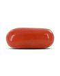 Red Coral (Moonga) - 3.35 Carat 
