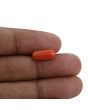 Red Coral (Moonga) - 3.35 Carat 