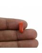 Red Coral (Moonga) - 3.35 Carat 