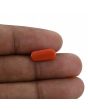 Red Coral (Moonga) - 3.35 Carat 