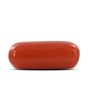 Red Coral (Moonga) - 4.1 Carat 