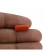Red Coral (Moonga) - 4.1 Carat 