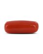 Red Coral (Moonga) - 4.53 Carat 