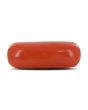 Red Coral (Moonga) - 3.81 Carat 