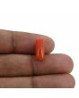 Red Coral (Moonga) - 3.81 Carat 